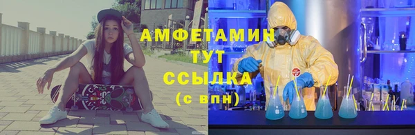 крисы Алексин